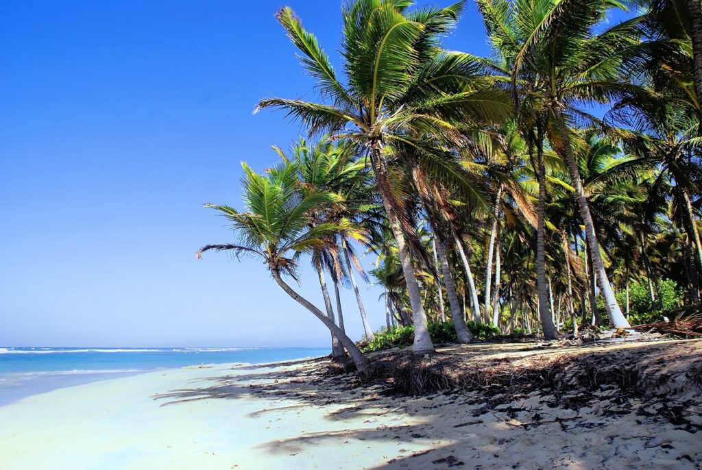 Viajar a Punta Cana